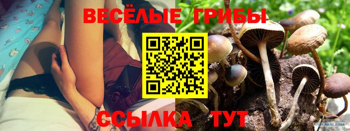 Галлюциногенные грибы Magic Shrooms  Вход с VPN  Ливны 