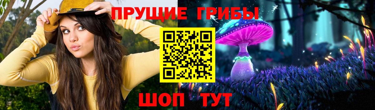 Галлюциногенные грибы мицелий Ливны